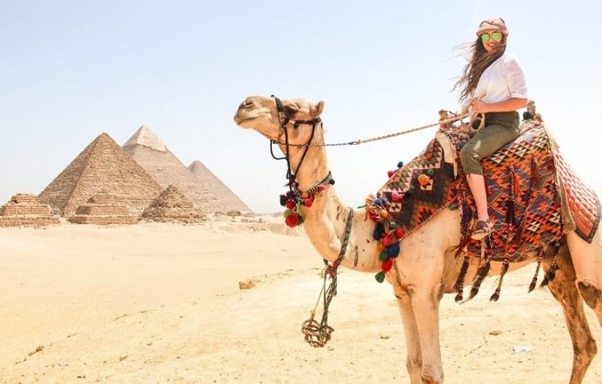 Cairo: Pyramids, Sakkara & Memphis Tour with Lunch